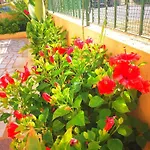 Olival With Pool Walking Distance To Villa *
