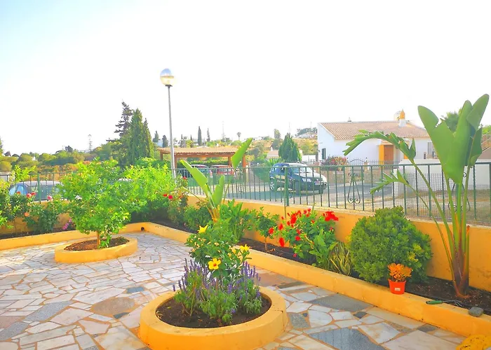 Olival With Pool Walking Distance To *