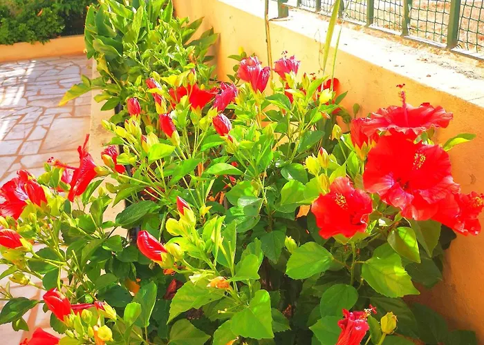 Olival With Pool Walking Distance To Villa *