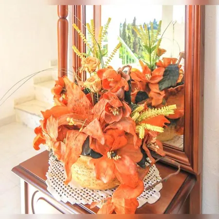 Olival With Pool Walking Distance To Armação de Pêra